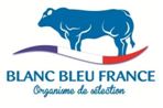 Logo BleuBlanc