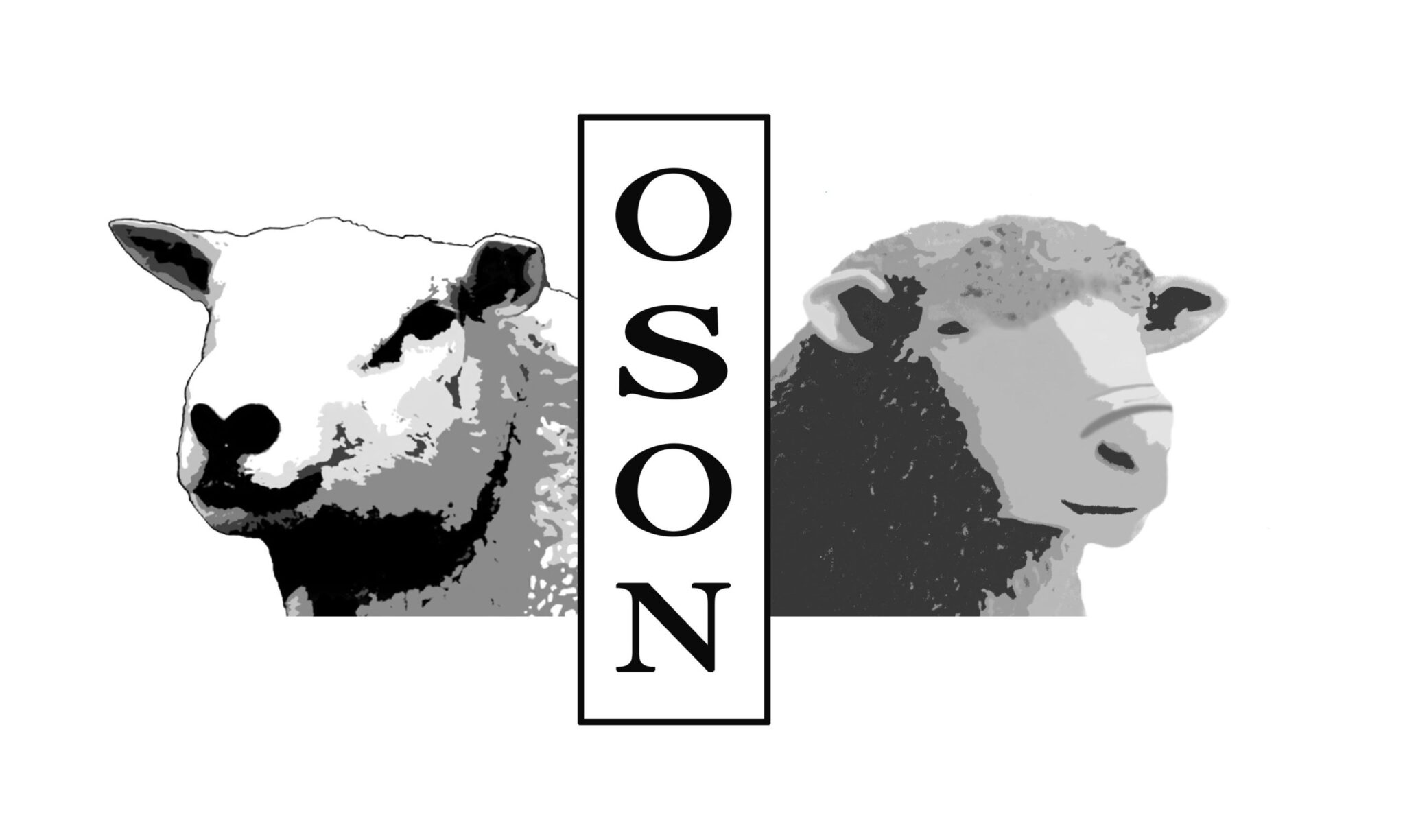 Logo - OS OSON