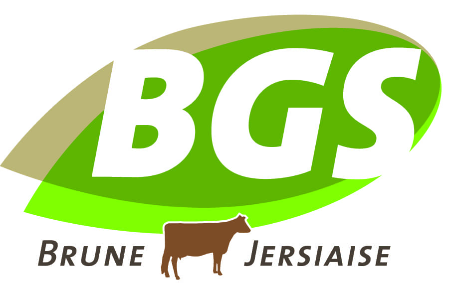BGS logo Brune - Solene Girardot