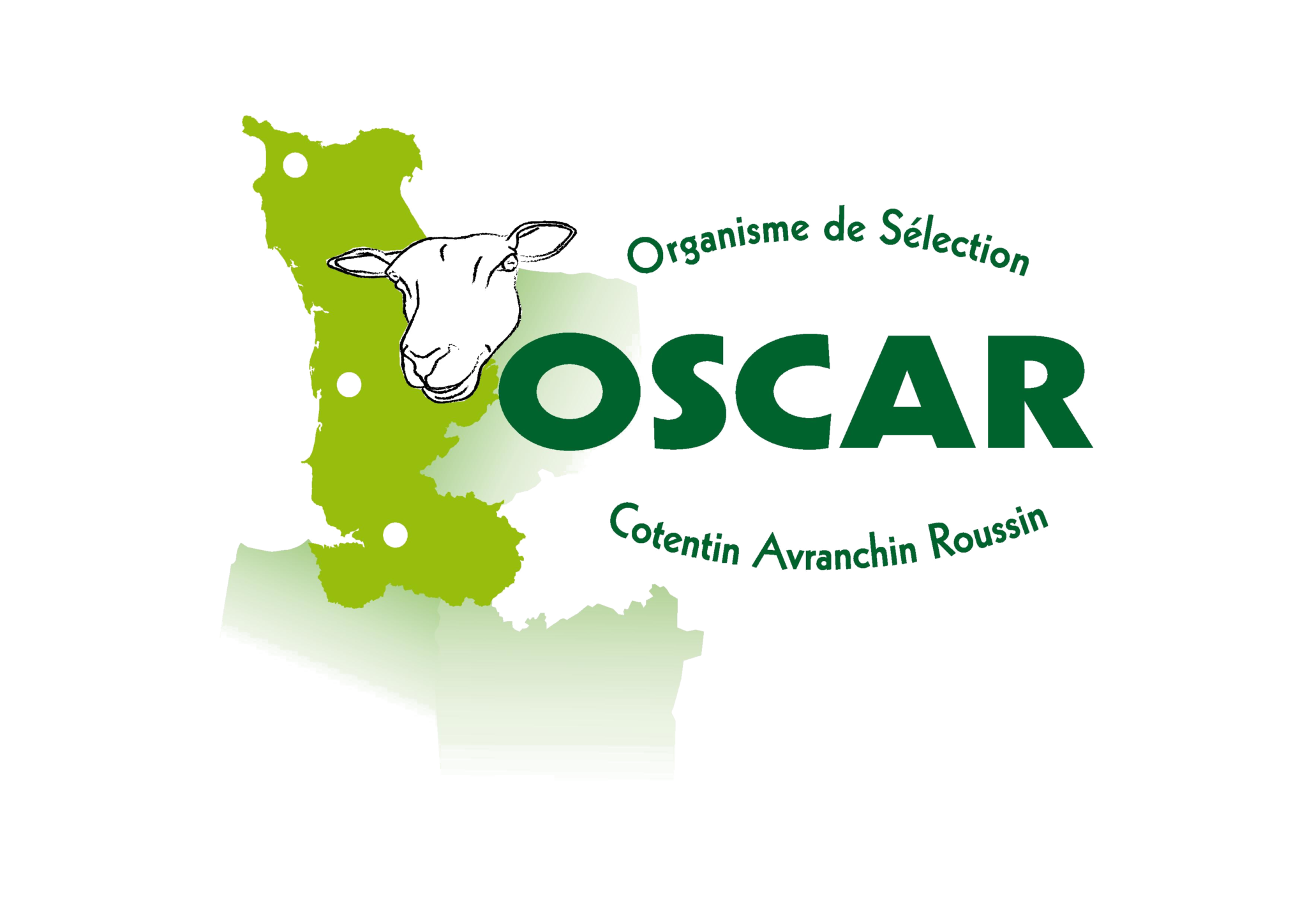 Logo Oscar sans fond