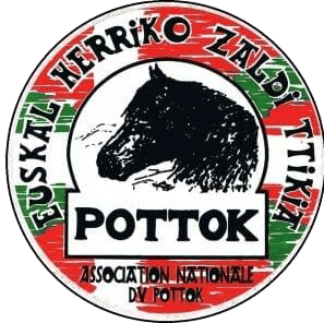 Logo - Pottok - Margaux BERANGER