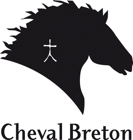 Logo - Trait Breton - Margaux BERANGER
