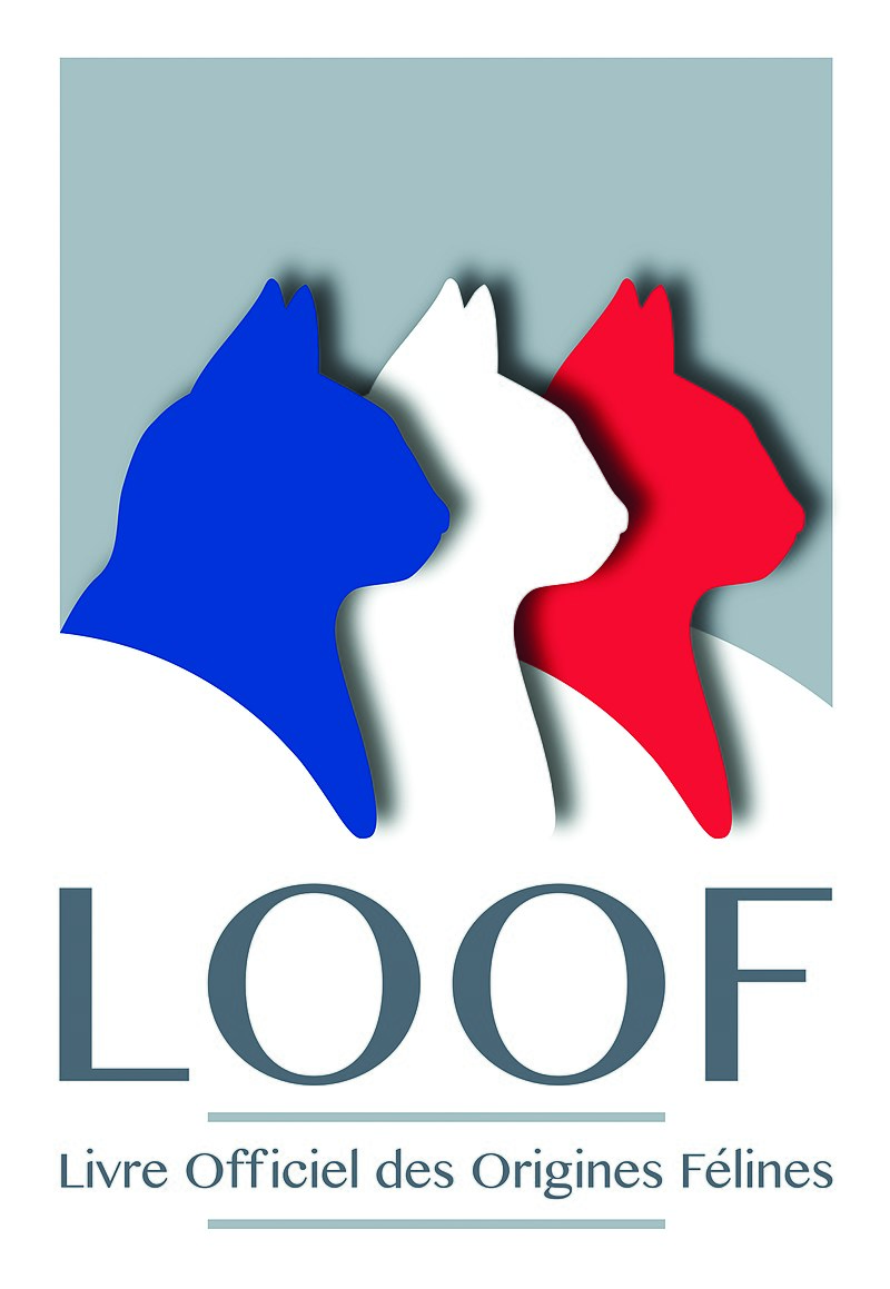800px-LOGO_LOOF