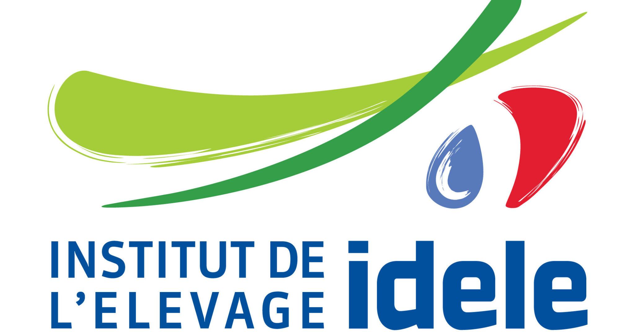 Logo-IDELE