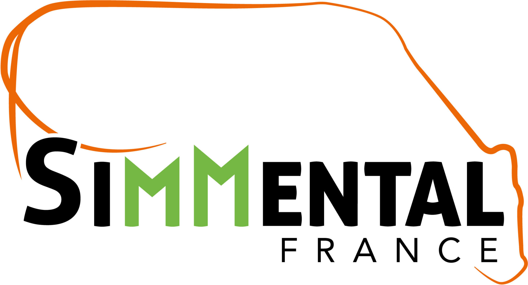 Simmental-France-2021-CMJN - Pierre-Elie Richard