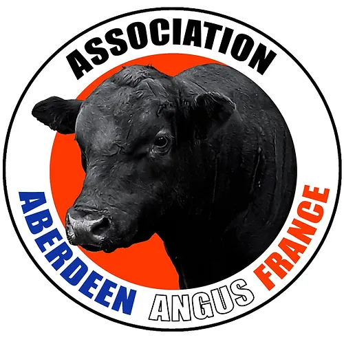 Logo AAAF_edited