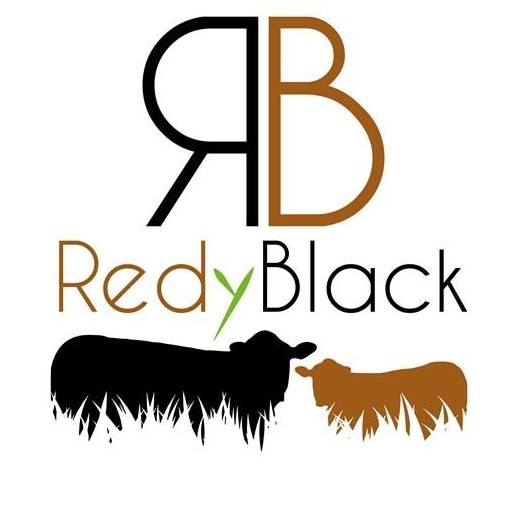 logo redyblack
